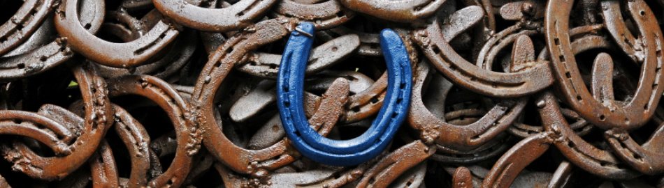Blue Horseshoe in center of steel horseshoes