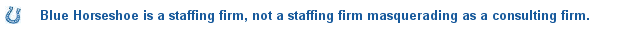 Blue Horseshoe is a staffing firm ...